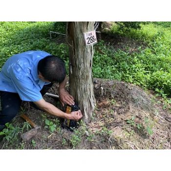 快速治理，價格最低