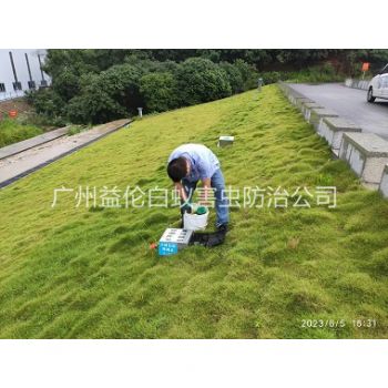 白云水利堤壩鼠害防控工程