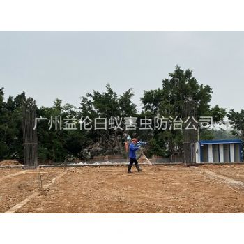 增城地基新建預(yù)防白蟻工程
