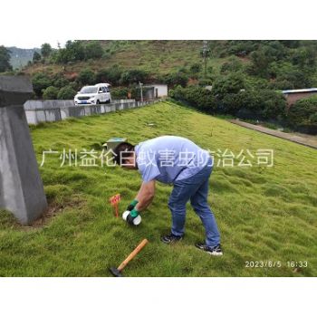 白云水利工程紅火蟻防治